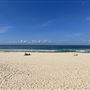 Bondi Beach