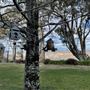 Allview Escape at Blackheath