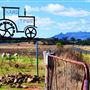 Rural Roads - Narrabri Area