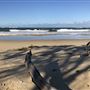 Nambucca Heads