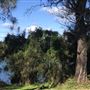 Nambucca Heads