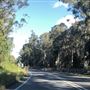 Nambucca Heads