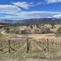 Dryridge Estate