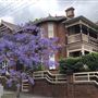 Woollahra