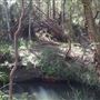 Gurranang pristine bush property