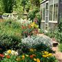 Hartvale Gardens and Cottage