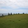 Black Head Reserve