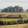 Pitnacree Farmland