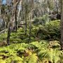 Deep Creek Reserve
