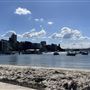 Double Bay
