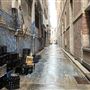 Kimber Lane
