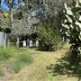 Vaucluse House