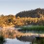 Dunns Swamp