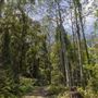 Glenworth Valley Wilderness Adventures