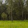 Glenworth Valley Wilderness Adventures