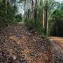 Glenworth Valley Wilderness Adventures