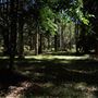 Glenworth Valley Wilderness Adventures