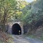 Picton Mushroom Tunnel