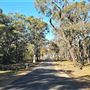 Nepean Dam