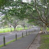 The Domain