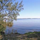 Northern Broadwater Picnic Area