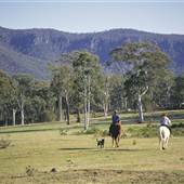 Megalong Valley
