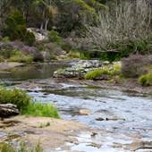 Berrima Reserve