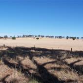 Countryside, Parkes to Peak Hill