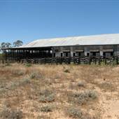 Kinchega Woolshed