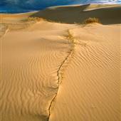 Stockton Dunes - Worimi National Park