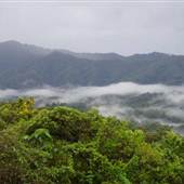 Mullumbimby Area