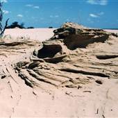 Milkengay Lake Sand Dunes