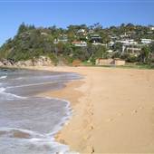 Whale Beach
