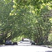 Bareena Ave - Pymble