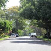 Braeside St - Pymble
