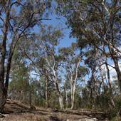 O'Hares Creek