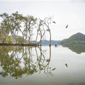 Hawkesbury River
