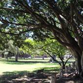 Centennial Park - Robertson Road