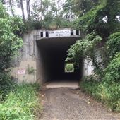 Tunnel on Tweed Valley Way