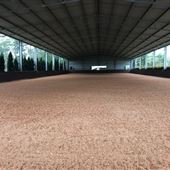 Clifden Park Stables