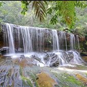 Somersby Falls picnic area - Brisbane Water National Park