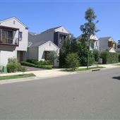 Suburban Houses - Newington