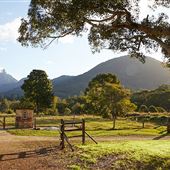 Mt Warning Estate