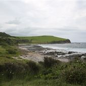 Black Head Reserve