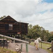 Hunter River Retreat