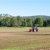 Tocal Farm
