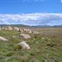 Adaminaby and surrounds