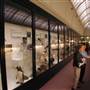 Australian Museum