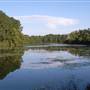 Ballina