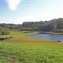 Ballina